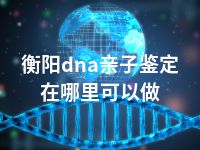 衡阳dna亲子鉴定在哪里可以做