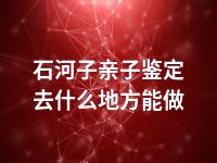 石河子亲子鉴定去什么地方能做