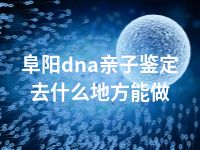 阜阳dna亲子鉴定去什么地方能做