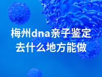 梅州dna亲子鉴定去什么地方能做