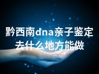 黔西南dna亲子鉴定去什么地方能做