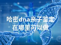 哈密dna亲子鉴定在哪里可以做