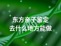 东方亲子鉴定去什么地方能做