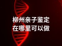 柳州亲子鉴定在哪里可以做