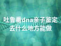 吐鲁番dna亲子鉴定去什么地方能做