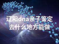 辽阳dna亲子鉴定去什么地方能做