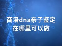 商洛dna亲子鉴定在哪里可以做