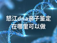 怒江dna亲子鉴定在哪里可以做