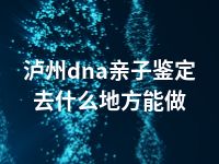 泸州dna亲子鉴定去什么地方能做