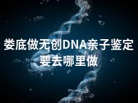 娄底做无创DNA亲子鉴定要去哪里做