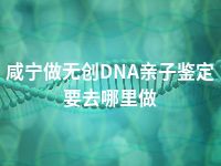 咸宁做无创DNA亲子鉴定要去哪里做