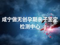 咸宁做无创孕期亲子鉴定检测中心