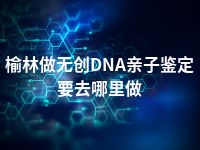 榆林做无创DNA亲子鉴定要去哪里做