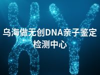 乌海做无创DNA亲子鉴定检测中心