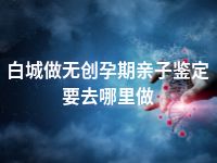 白城做无创孕期亲子鉴定要去哪里做