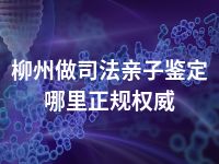 柳州做司法亲子鉴定哪里正规权威