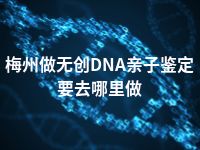 梅州做无创DNA亲子鉴定要去哪里做