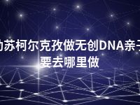 克孜勒苏柯尔克孜做无创DNA亲子鉴定要去哪里做