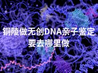 铜陵做无创DNA亲子鉴定要去哪里做