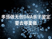 孝感做无创DNA亲子鉴定要去哪里做