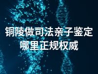 铜陵做司法亲子鉴定哪里正规权威