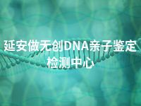 延安做无创DNA亲子鉴定检测中心