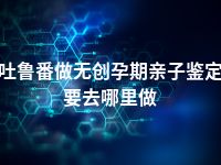 吐鲁番做无创孕期亲子鉴定要去哪里做