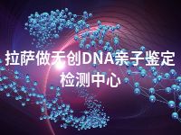 拉萨做无创DNA亲子鉴定检测中心