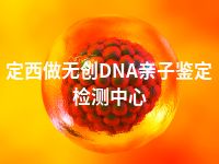 定西做无创DNA亲子鉴定检测中心