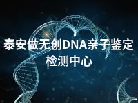 泰安做无创DNA亲子鉴定检测中心