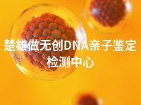 楚雄做无创DNA亲子鉴定检测中心