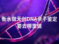 衡水做无创DNA亲子鉴定要去哪里做