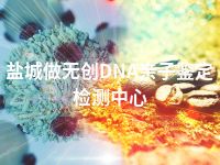 盐城做无创DNA亲子鉴定检测中心