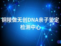 铜陵做无创DNA亲子鉴定检测中心