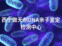 西宁做无创DNA亲子鉴定检测中心