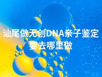 汕尾做无创DNA亲子鉴定要去哪里做