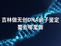 吉林做无创DNA亲子鉴定要去哪里做