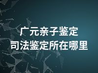 广元亲子鉴定司法鉴定所在哪里