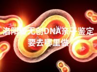 洛阳做无创DNA亲子鉴定要去哪里做