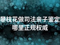 攀枝花做司法亲子鉴定哪里正规权威