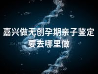 嘉兴做无创孕期亲子鉴定要去哪里做