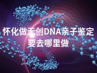 怀化做无创DNA亲子鉴定要去哪里做