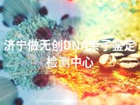 济宁做无创DNA亲子鉴定检测中心