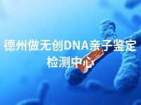 德州做无创DNA亲子鉴定检测中心