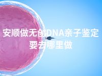 安顺做无创DNA亲子鉴定要去哪里做