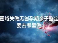 嘉峪关做无创孕期亲子鉴定要去哪里做