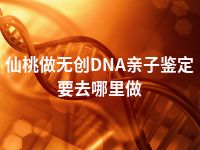 仙桃做无创DNA亲子鉴定要去哪里做