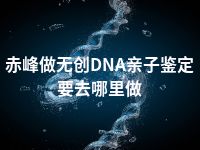 赤峰做无创DNA亲子鉴定要去哪里做