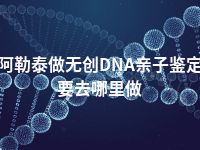 阿勒泰做无创DNA亲子鉴定要去哪里做