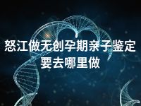 怒江做无创孕期亲子鉴定要去哪里做